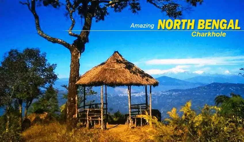 north bengal package tour booking with charkhole