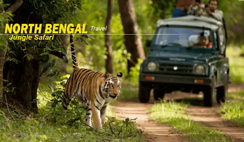 north bengal package tour with dooars