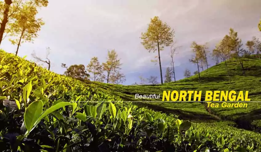north bengal tour packages