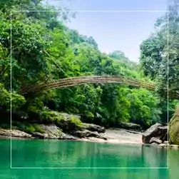 Shillong Root Bridge Tour Itinerary with NatureWings