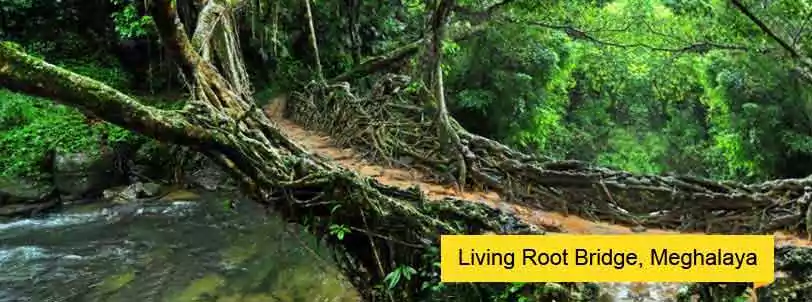 north east tour with living root bridges meghalaya