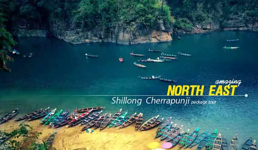 north east tour packages with NatureWings