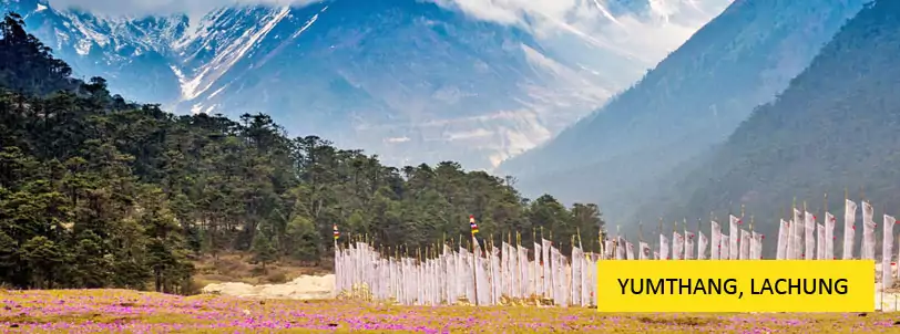 north sikkim tour package with yumthang valley