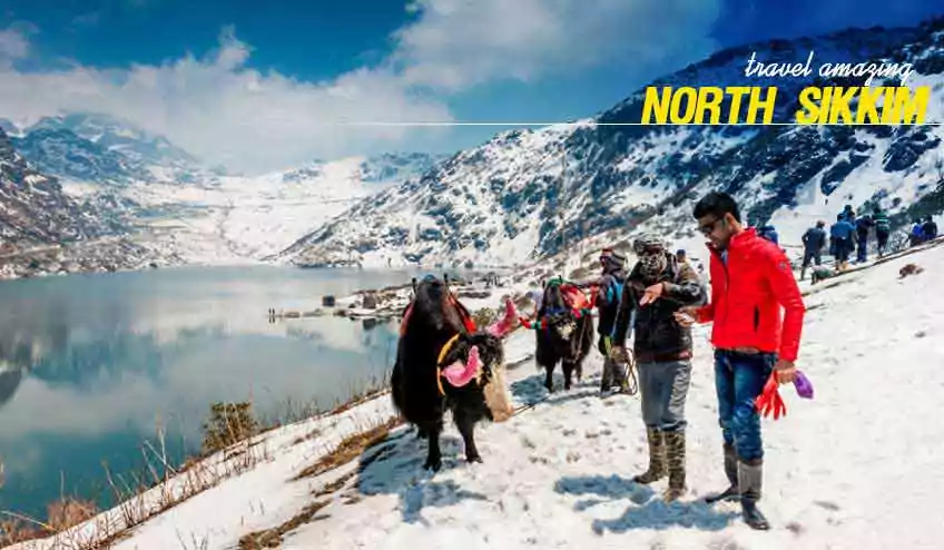 North Sikkim Package Tour for 2 Nights with naturewings