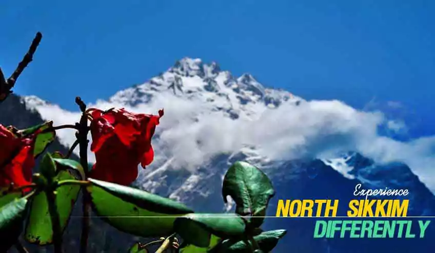 North Sikkim Tour Packages