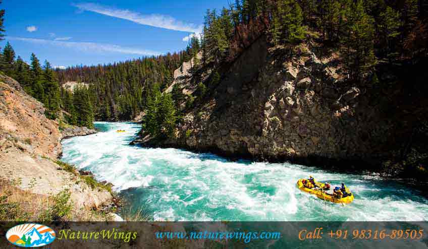 river-rafting-at-lohit-river