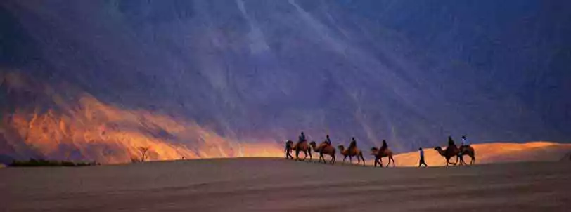 Nubra Valley Tour with Double Hump Vamel Ride during Ladakh Package Tour from Delhi by Flight