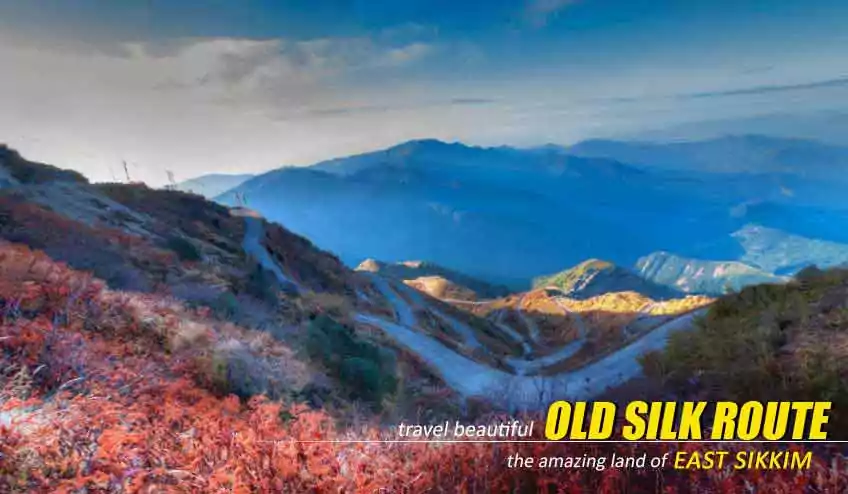 Silk Route Group Departure - NatureWings