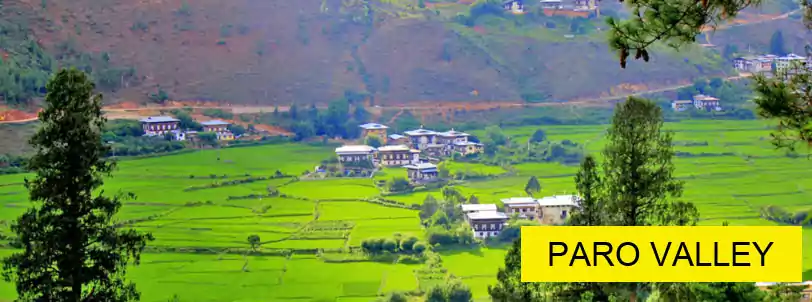 paro valley bhutan tour from ahmedabad with naturewings holidays limited