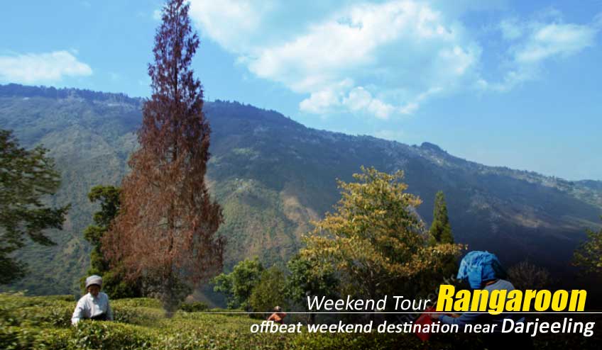 darjeeling offbeat tour with rangaroon