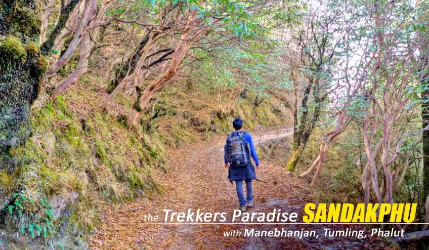 Sandakphu Trek from Manebhanjan Booked from NatureWings - Singalila Trekking Specialist