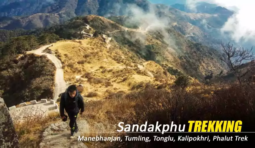 Sandakphu Trek Booked from NatureWings - Trekking Specialist