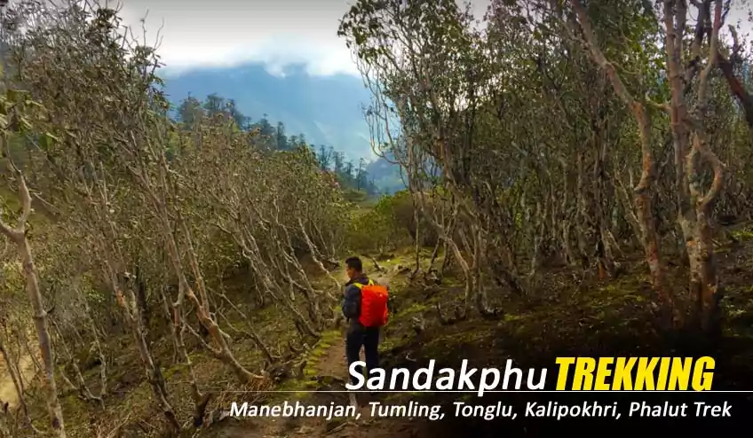 Sandakphu Trekking Package Booking Starting from Manebhanjan