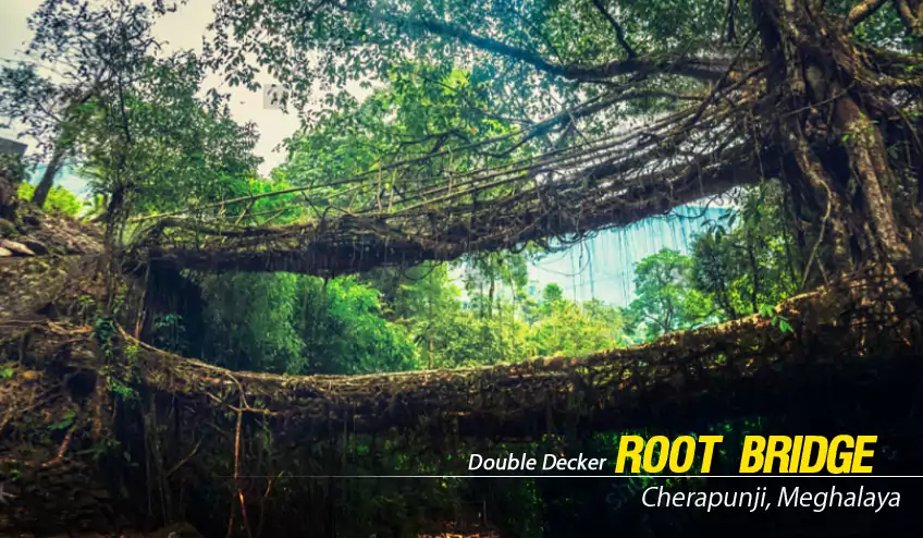 shillong package tour with double decker root bridge with NatureWings