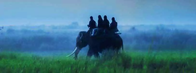 Elephant Safari in Kaziranga National Park during Kaziranga Shillong Package Tour from Guwahati