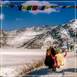 North Sikkim Package Tour Booking