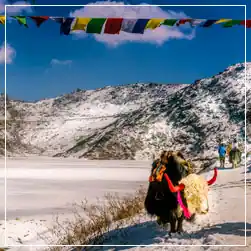 gangtok lachen lachung tour package with NatureWings Holidays