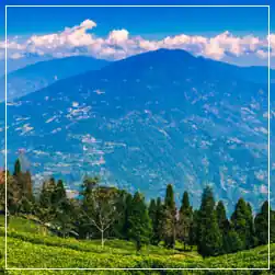 Sikkim Gangtok Package from Pune with NatureWings