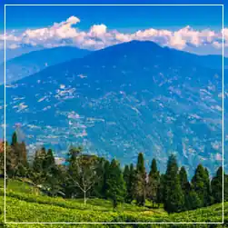 Darjeeling Gangtok Package with NatureWings