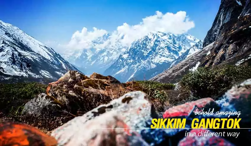 sikkim gangtok tour package itinerary from NJP for 6N 7D