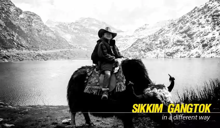 sikkim gangtok tour cost from NJP or Bagdogra