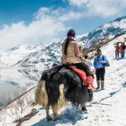 silk route tour packages with gangtok sikkim