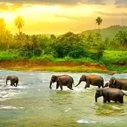sri lanka tour package booking from kolkata with best offer