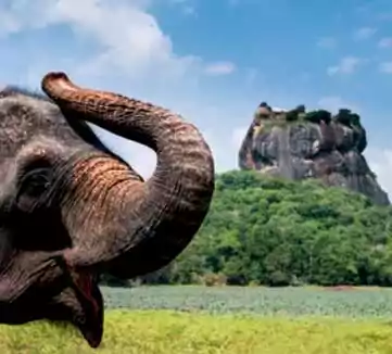 SriLanka Package Tour