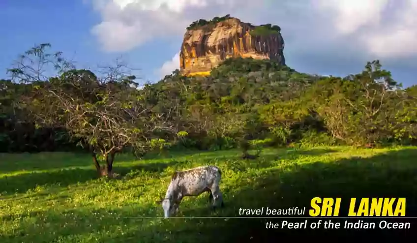 sri lanka package tour booking from kolkata with NatureWings
