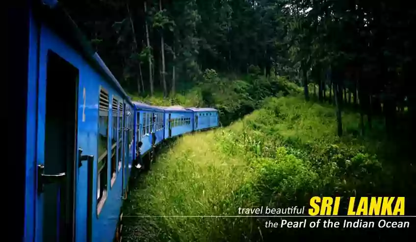 sri lanka tour package coat from kolkata with NatureWings