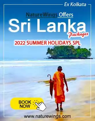 sri lanka tour travel packages from kolkata naturewings