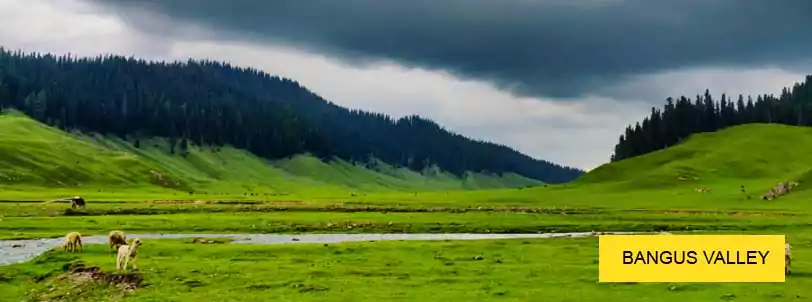 srinagar to bangus valley tour with naturewings