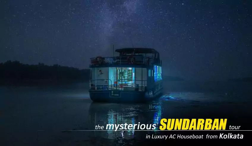 sundarban houseboat package tour with NatureWings