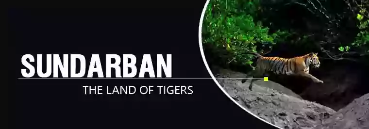 sundarban tour from kolkata, sealdah, howrah