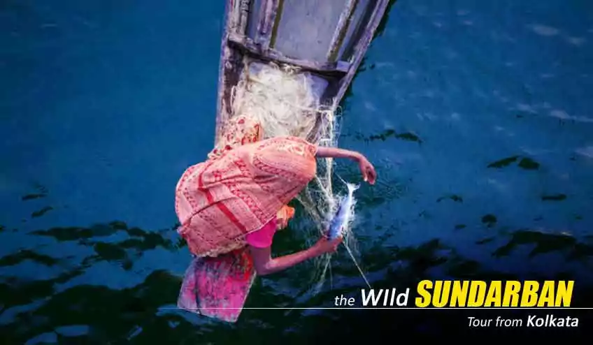 Sundarban Tour Package 2 Nights 3 Days from kolkata with NatureWings