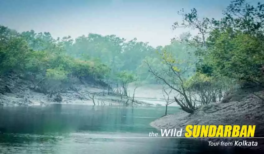 Travel Chhuti Chhuti Sundarban Package Tour from kolkata with NatureWings