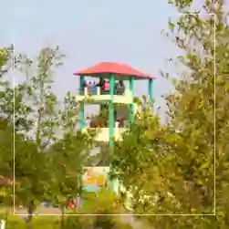 Sundarban Watch Tower Tour from Kolkata