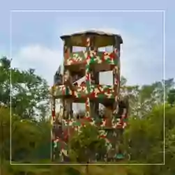 Sundarban Watch Tower Package Tour from Kolkata