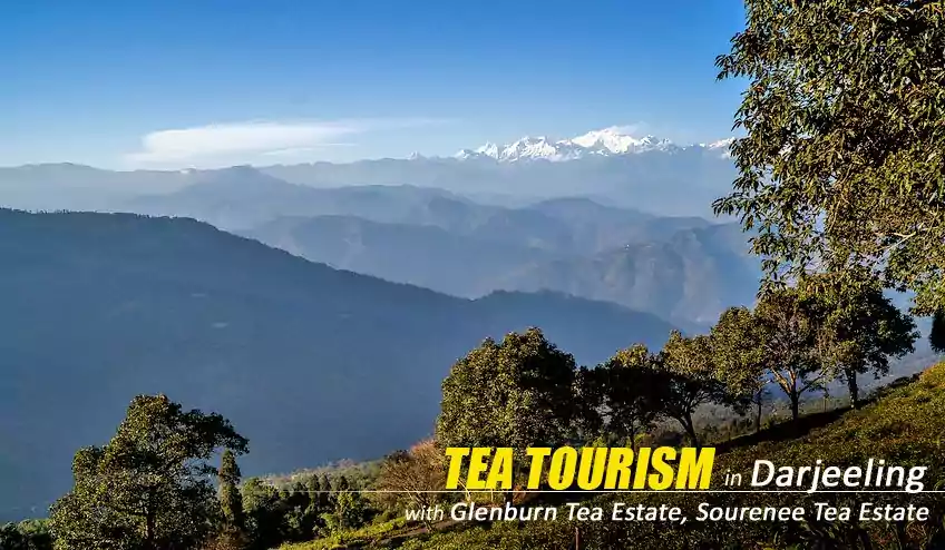 darjeeling tea tourism package booking