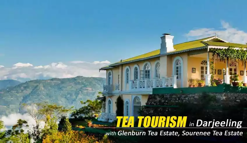 tea tourism in darjeeling