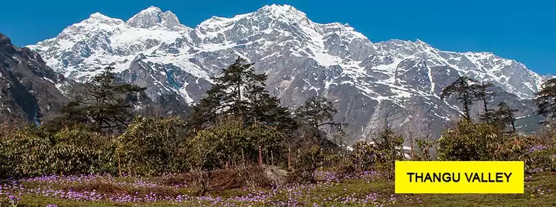 thangu valley north sikkim tour