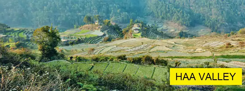 the beautiful haa valley day tour with bhutan tour package from ahmedabad with NatureWings Holidays Limited