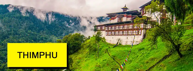 thimphu bhutan package tour from bagdogra siliguri njp with NatureWings