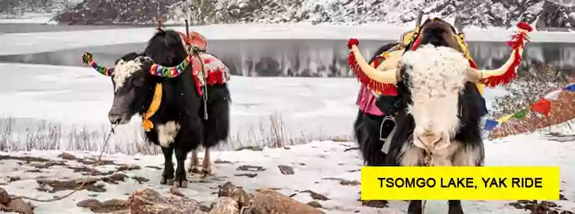 tsomgo lake yak ride