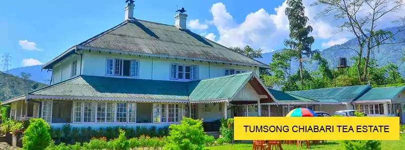 tumsong chiabari tea estate in darjeeling