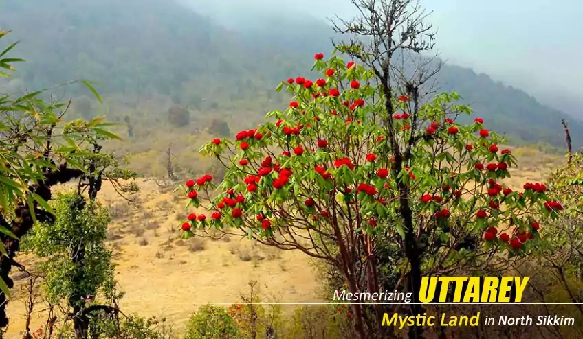 uttarey trekking package tour