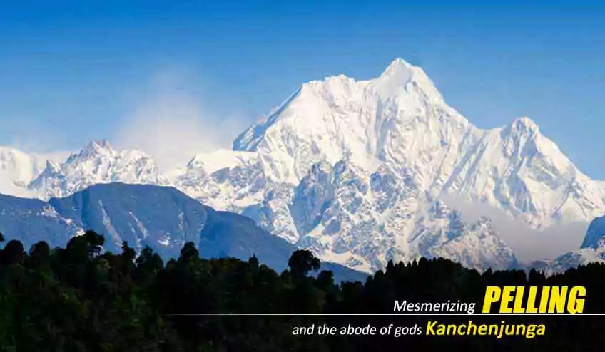 pelling namchi tour packages with NatureWings