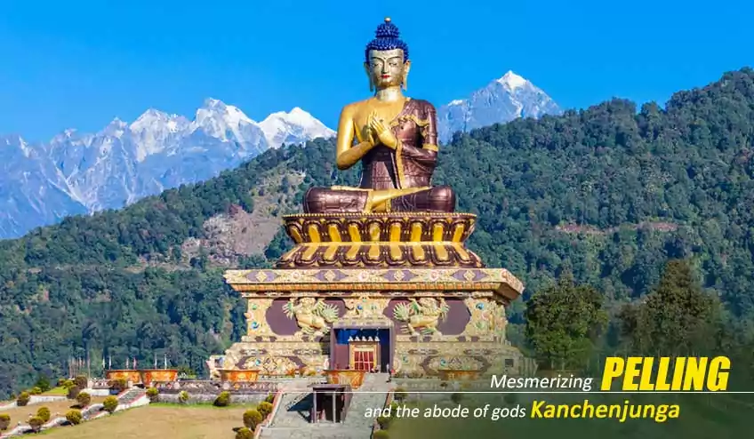 pelling ravangla namchi tour packages with NatureWings