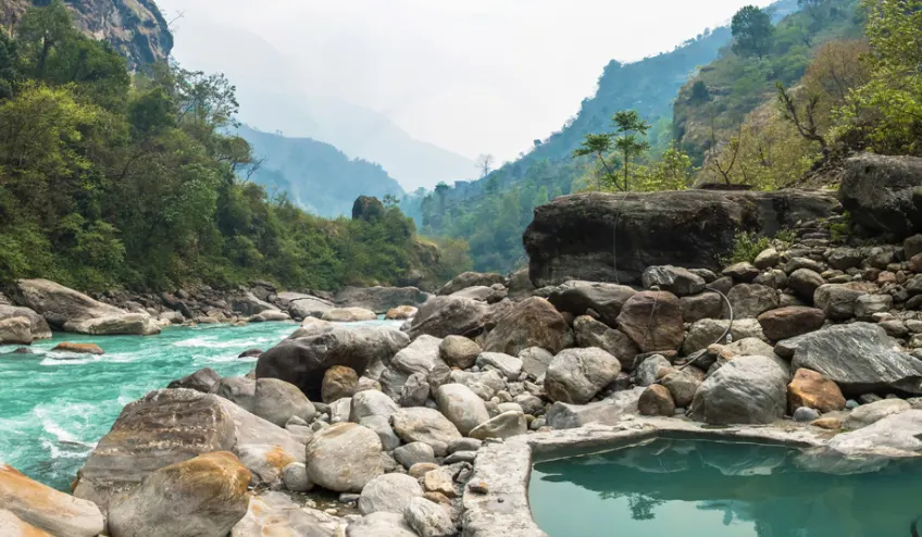 West-Sikkim-picture-two-naturewings