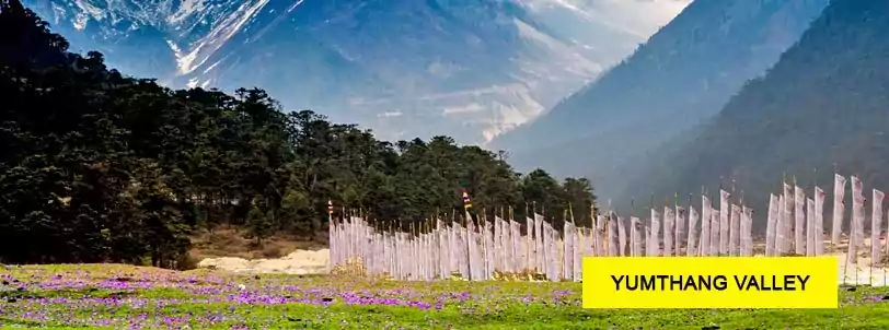 yumthang valley package tour from lachung